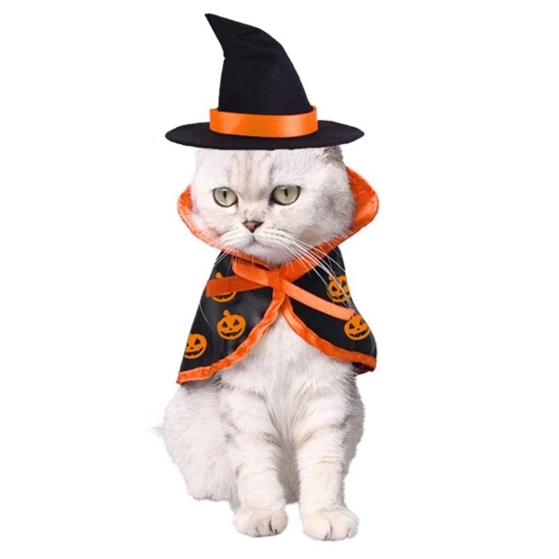 Pumpkin Witch Halloween Costume product image