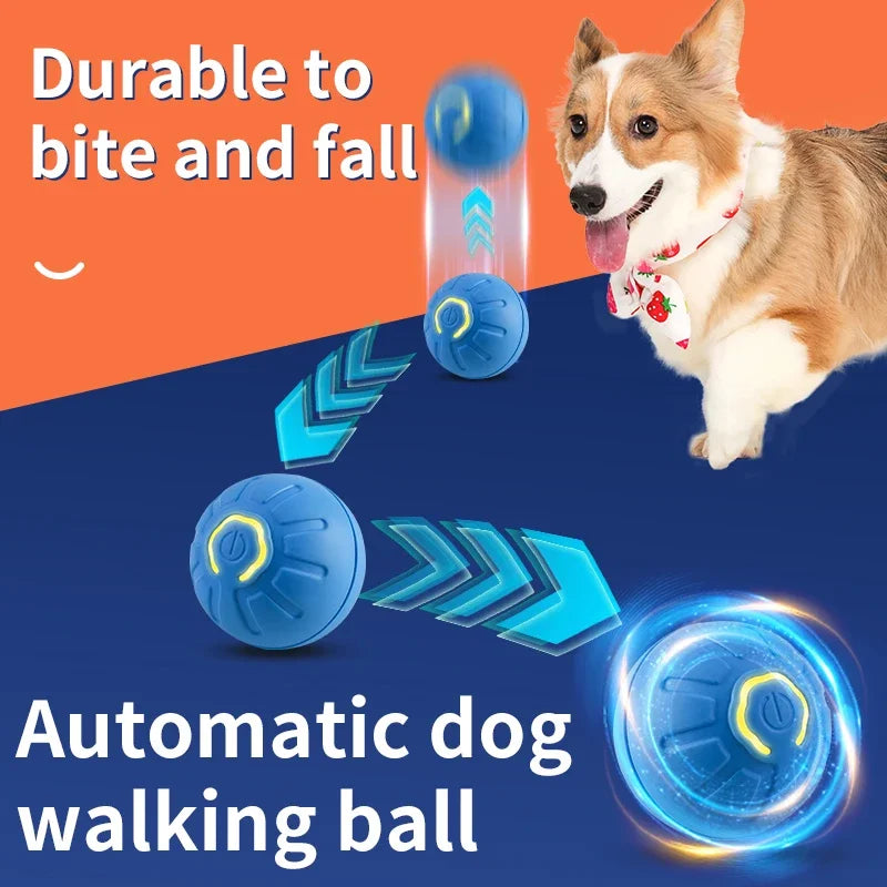 Smart interactive dog ball that rolls and jumps on its own, with a corgi by DealSpark