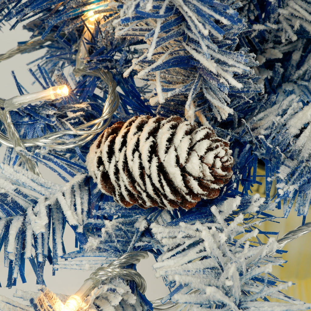 Snow-dusted pine cone on blue branches, close-up