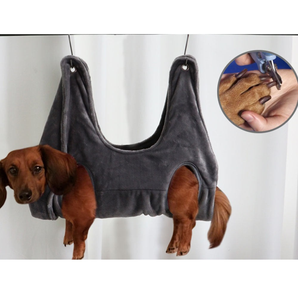 Dachshund in a grey dog grooming hammock with a nail trimming close-up