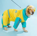 Fall Walk-Ready Bundle - Vancouver dog rain jacket and harness dress set