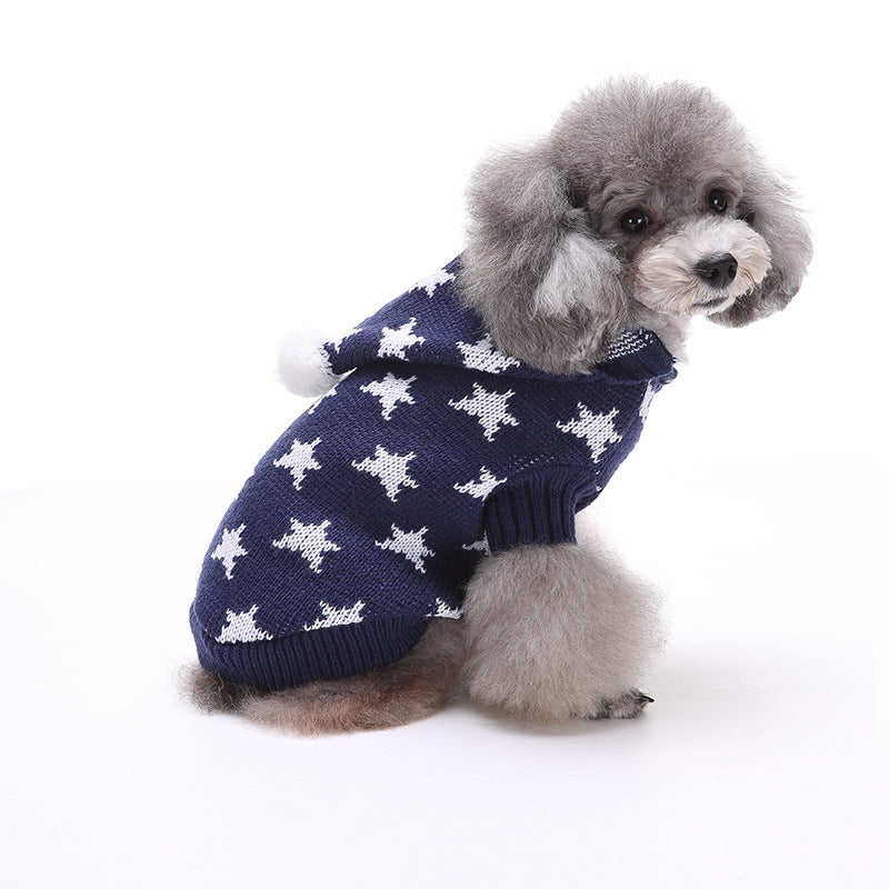 Poodle wearing the blue star dog sweater
