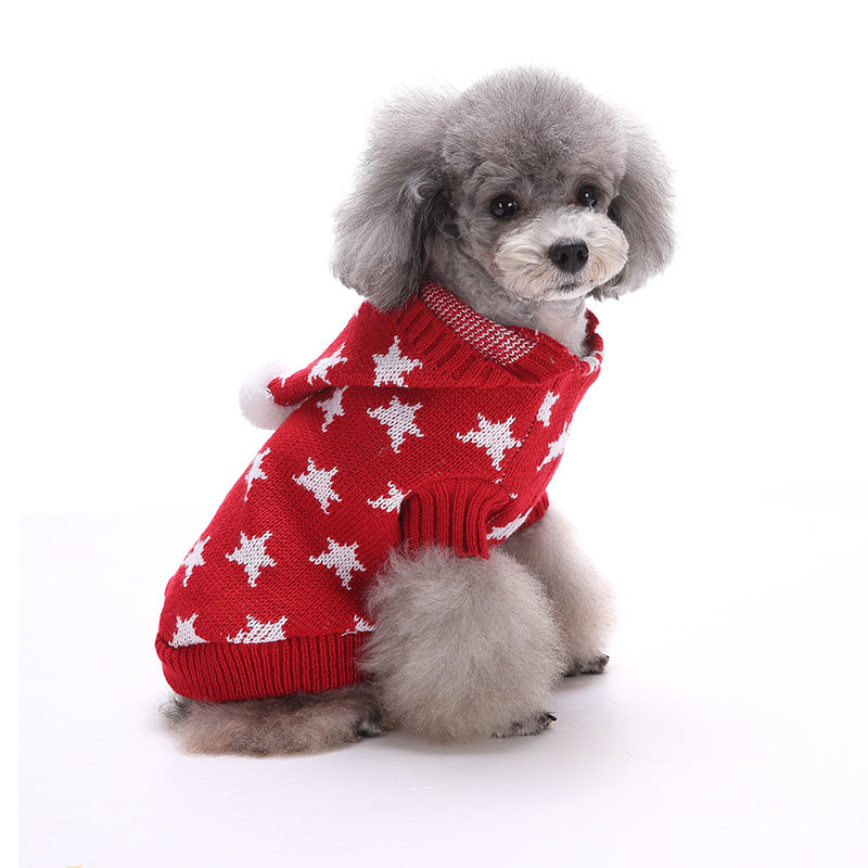 Poodle sitting in a red star Christmas dog sweater by DealSpark