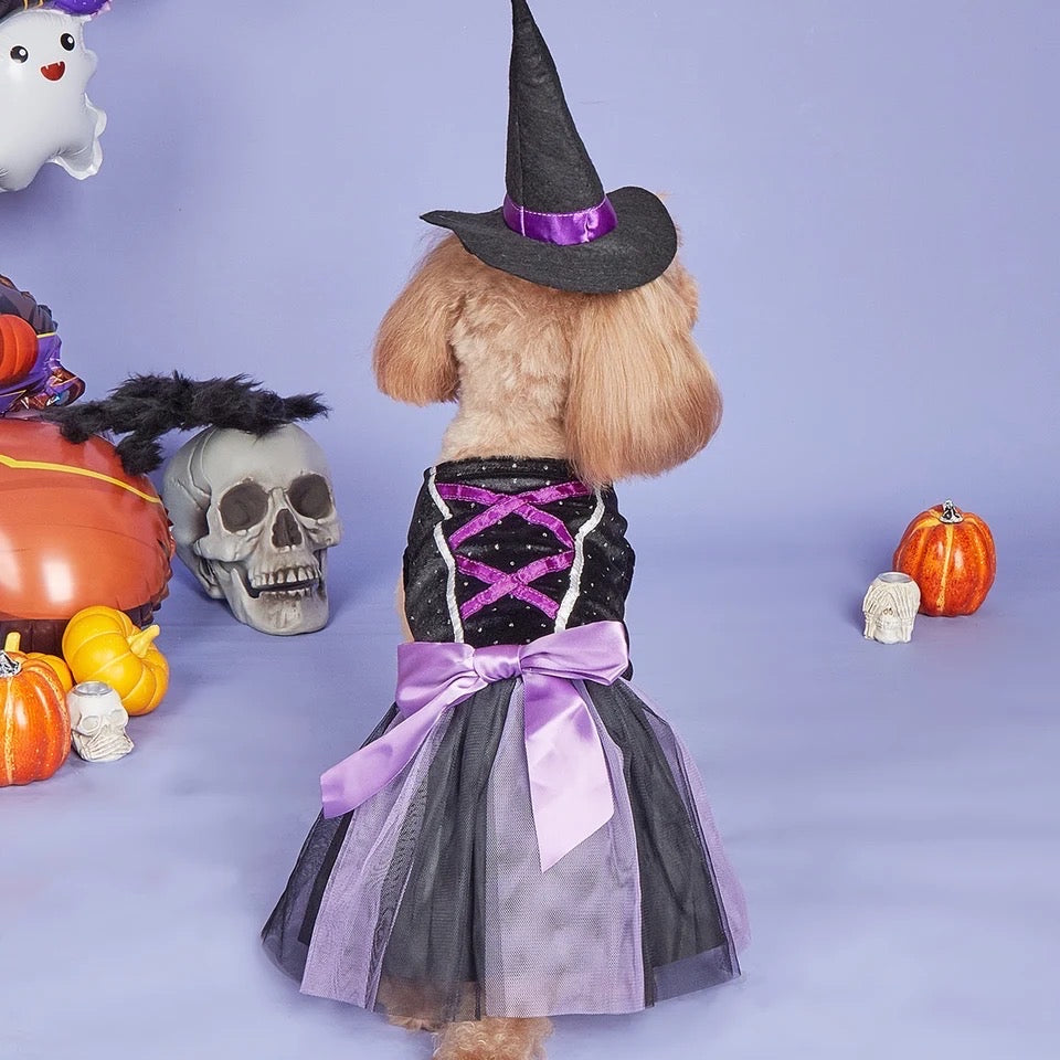Witch Hat Dog Dress | Halloween Costume product image 1
