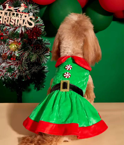 Christmas Morning Trio | Dog Dress, Reindeer Sweater & Holly Jolly Toy