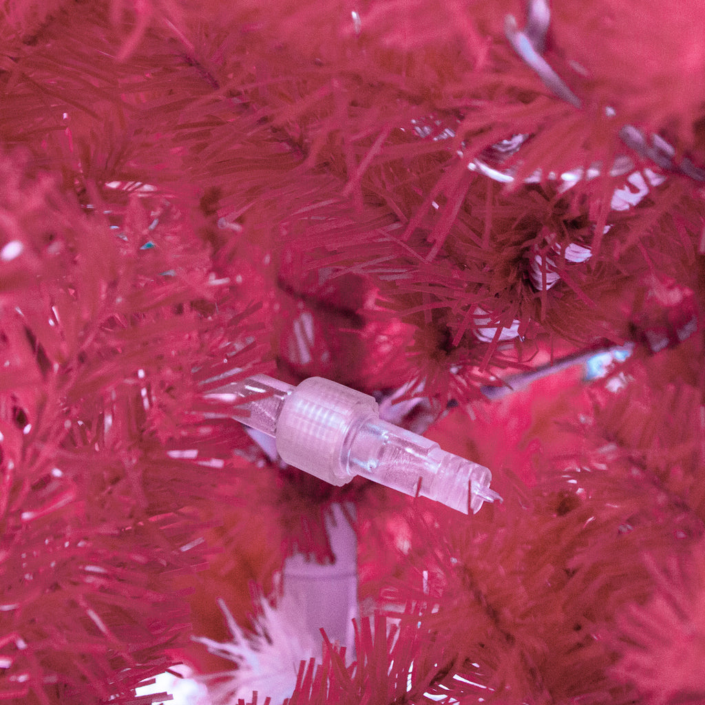 LED bulb fitting among the red branches