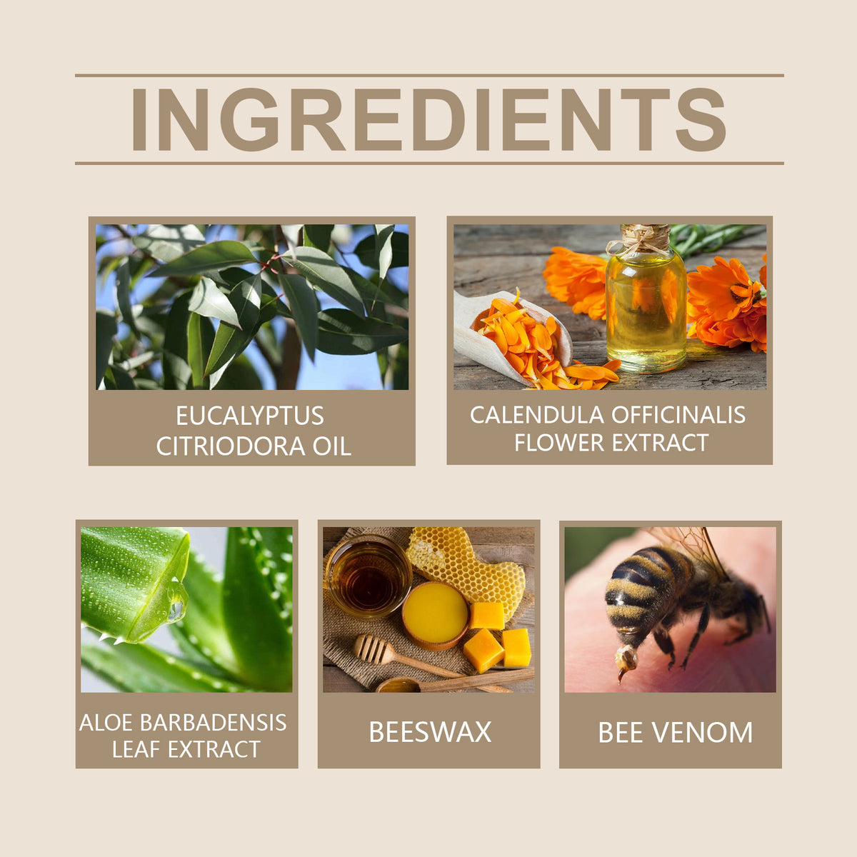 Bee Venom Moisturizing Body Cream
