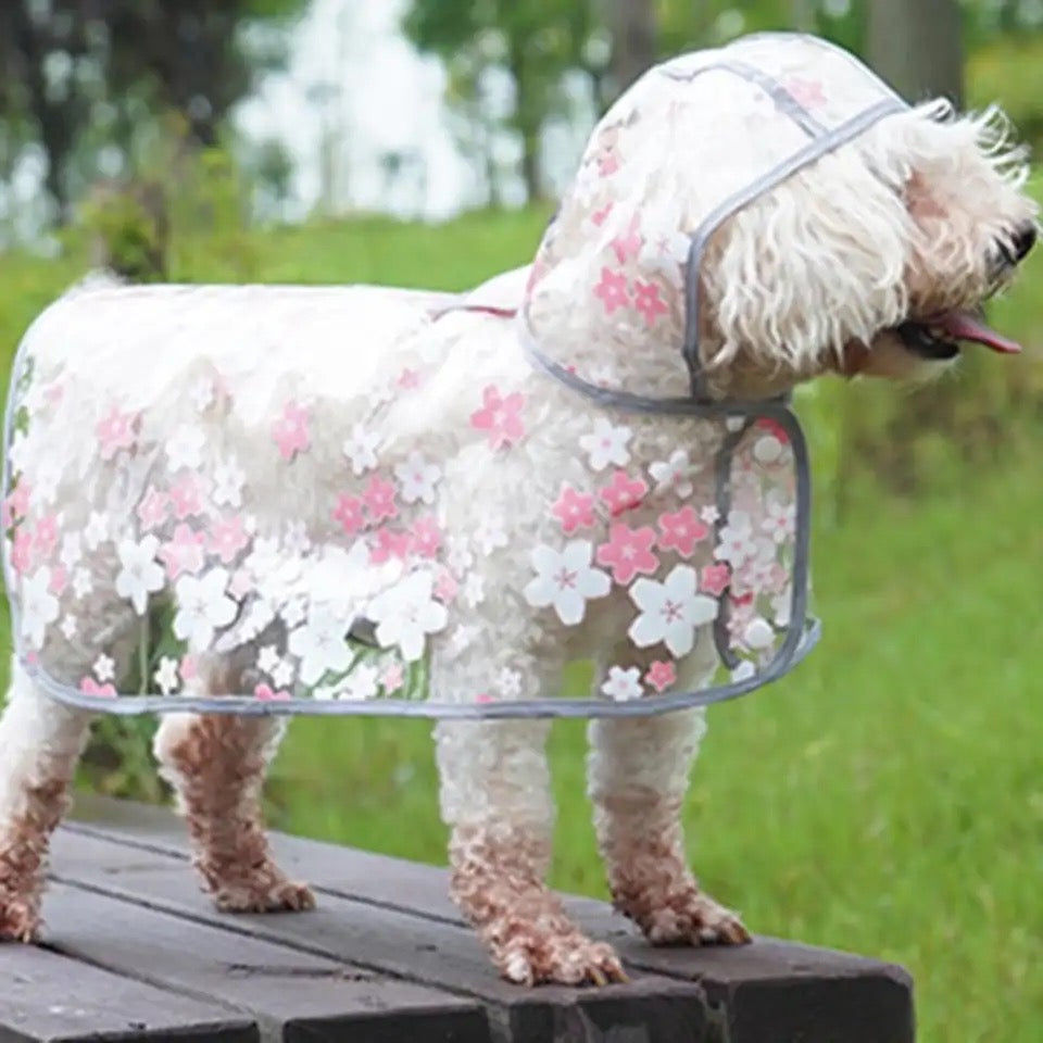 Fall Stroll Set - floral dog rain jacket and tweed bandana