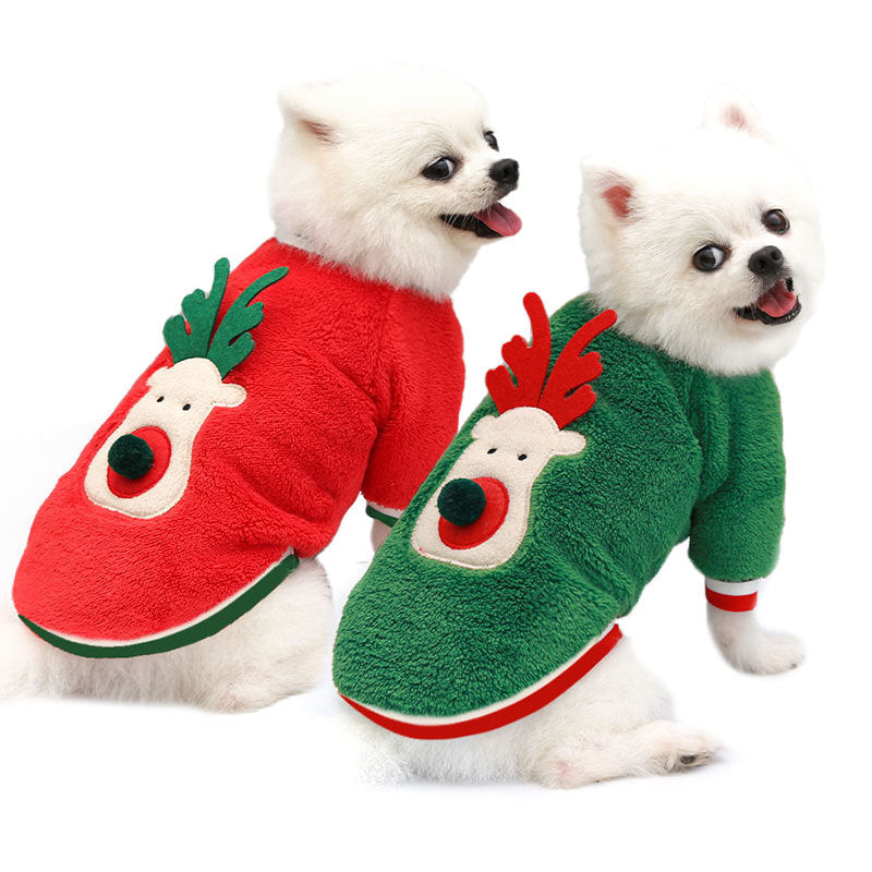 Two Pomeranians wearing red and green fleece Christmas dog sweaters