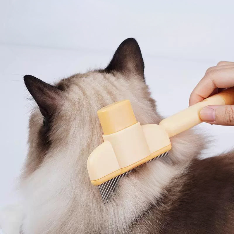 Brushing a long-haired cat with a self-cleaning slicker brush by DealSpark