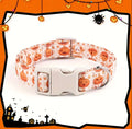 Pumpkin dog collar included in the Halloween Ultimate Pup Gift Bundle