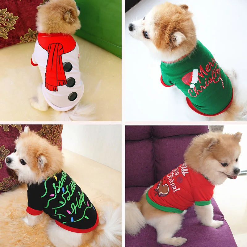 Pomeranian wearing Christmas dog outfits — festive holiday clothes for small dogs by DealSpark