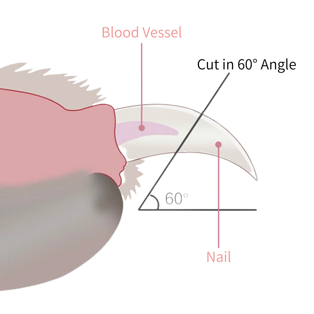 Noba LED Nail Clipper for Cats & Dogs product image 8