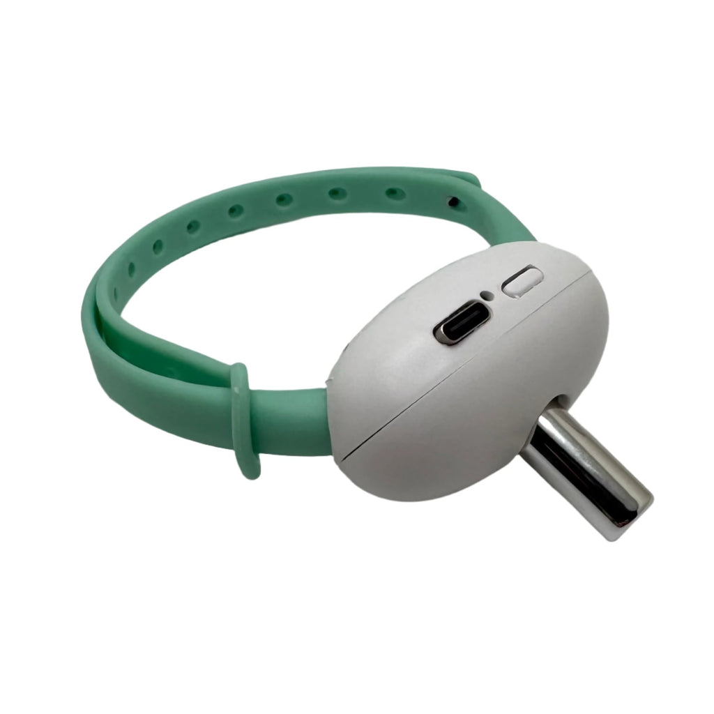Automatic Laser Collar Toy for Cats