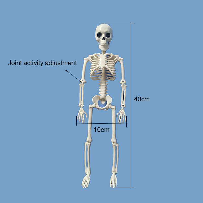 Creepy Hanging Skull Décor – Halloween Ghost Skeleton Decoration for Indoor & Outdoor Use product image 4