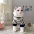 Cat wearing a striped puppet sweater, front view