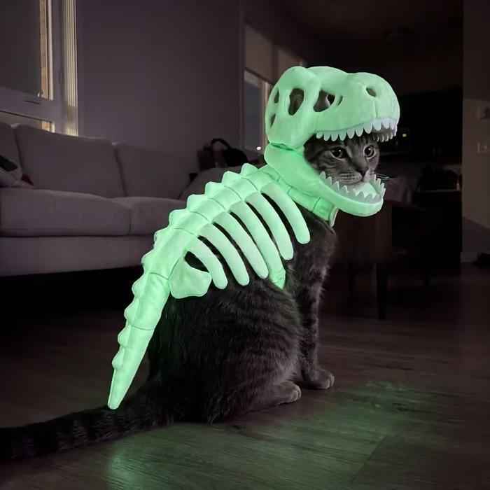 Dark Dinosaur Skeleton Pet Costume Headgear – Funny Halloween Dog & Cat Accessory product image