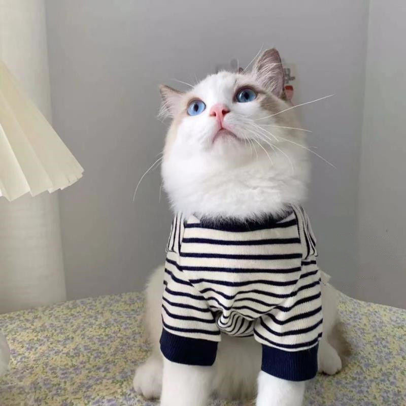 Cat standing in a striped puppet two-leg cat sweater by DealSpark