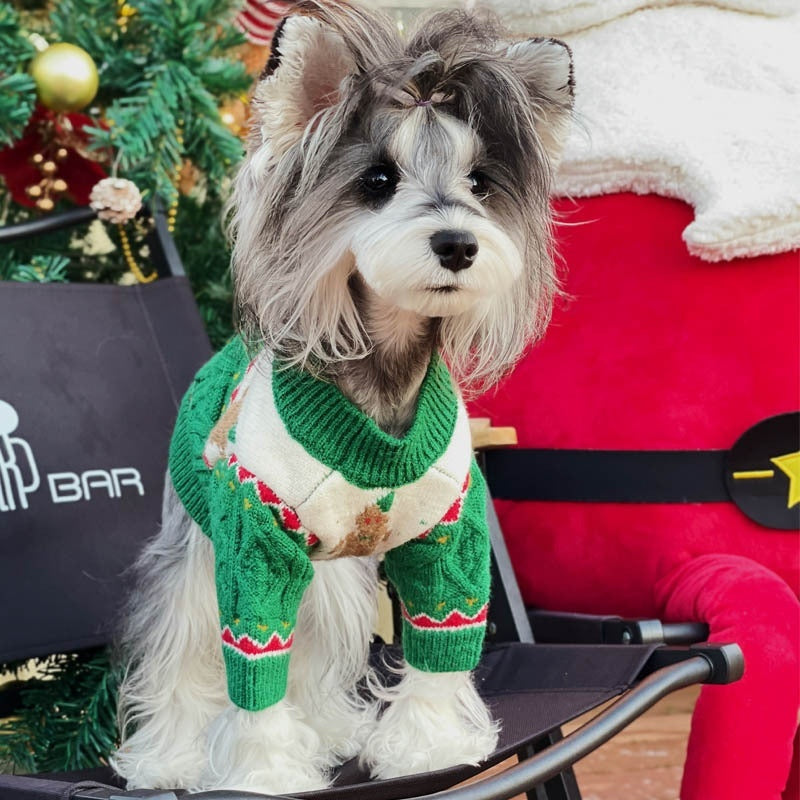Dog wearing the green Christmas wool dog sweater