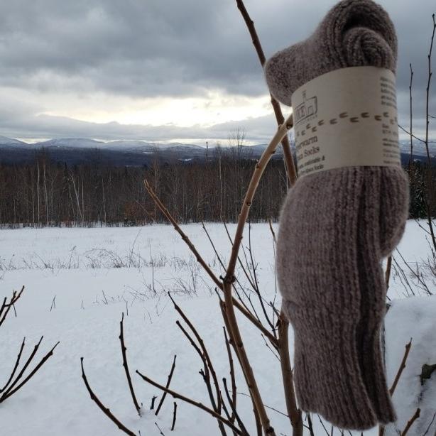 Alpaca socks hanging outdoors in a snowy landscape