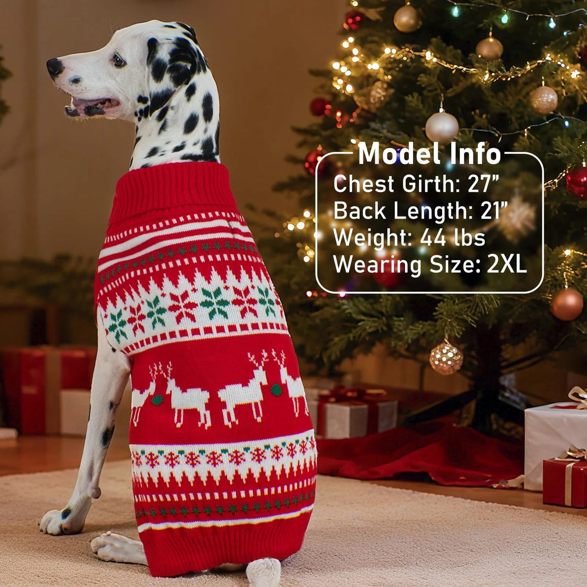 christmas dog sweater on dog