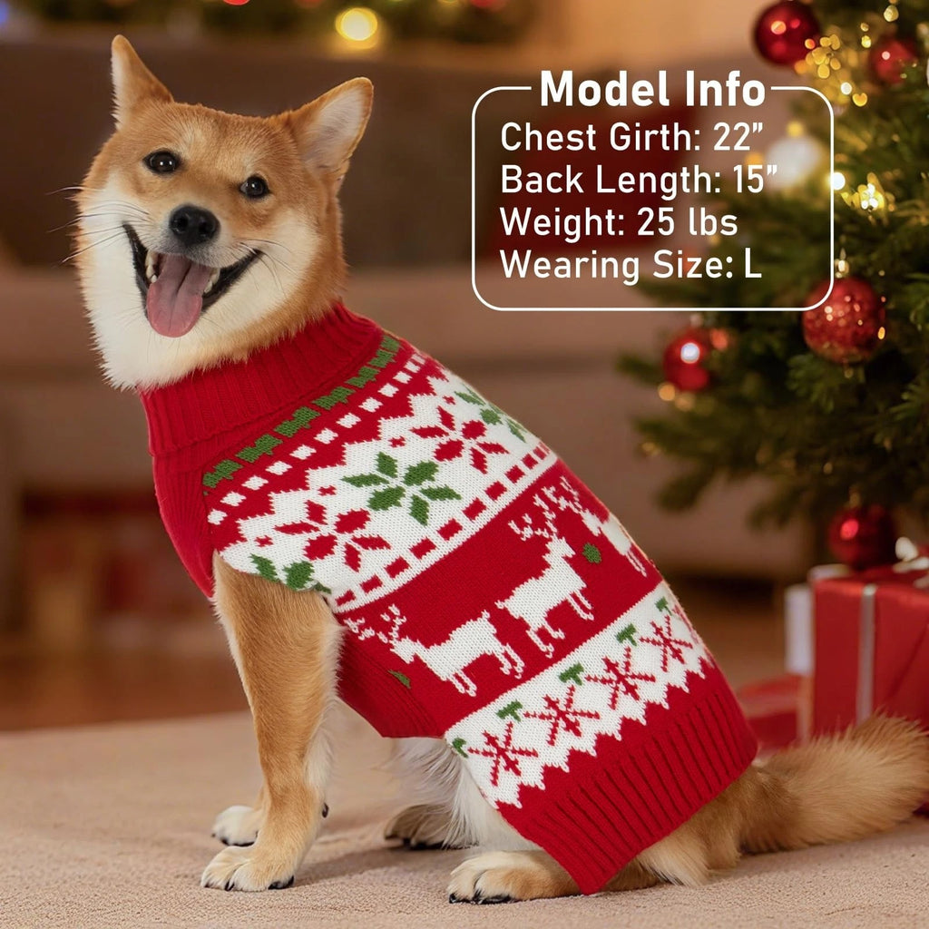 christmas dog sweater on dog